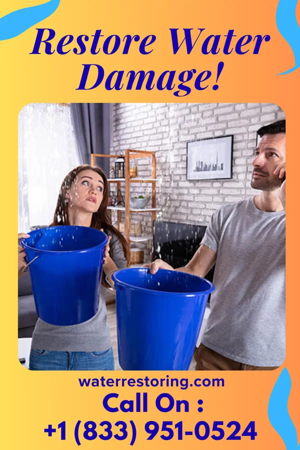 water restoration Local Water Cleanup Co Heath