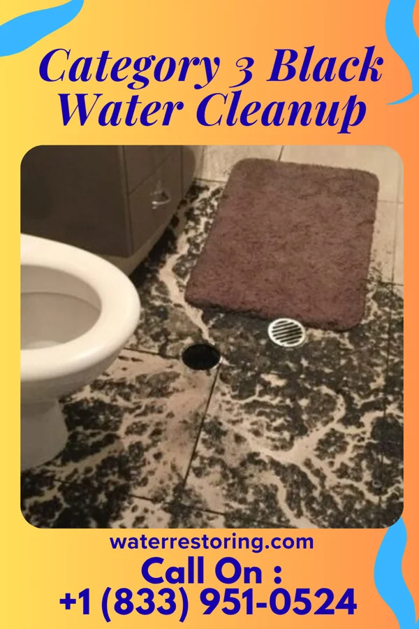 Category 3 Black Water Cleanup in Heath, OH