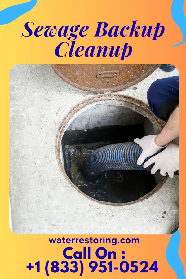Sewage Backup Cleanup in Heath, OH