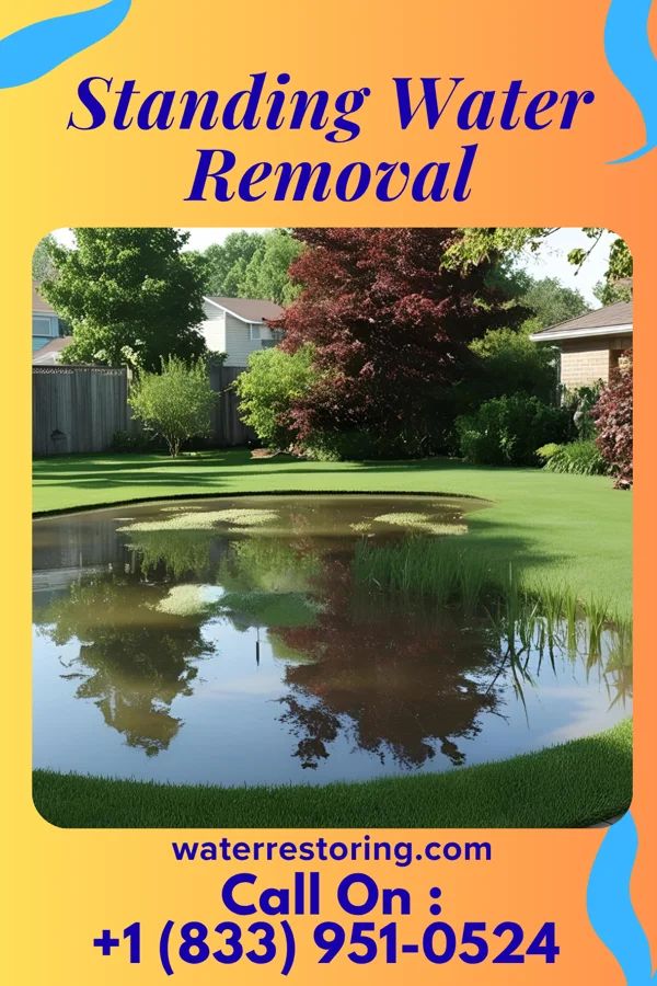 Standing Water Removal in Heath, OH